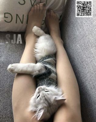 www.午夜电影_免费高清日本成人在线