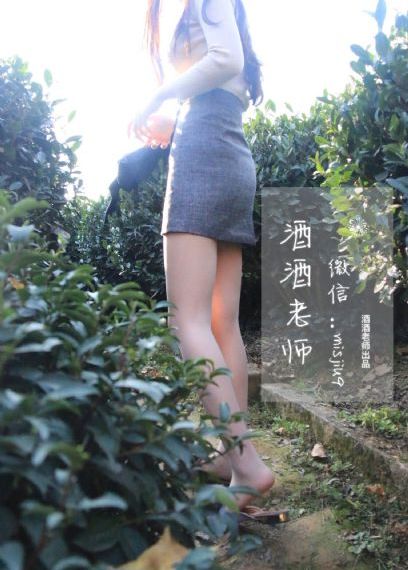 忠犬八公在线观看完整免费_1080P在线手机播放